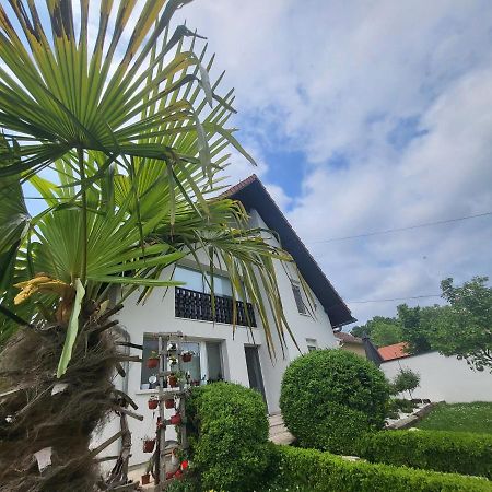 Vila Jovana Vrdnik Ngoại thất bức ảnh