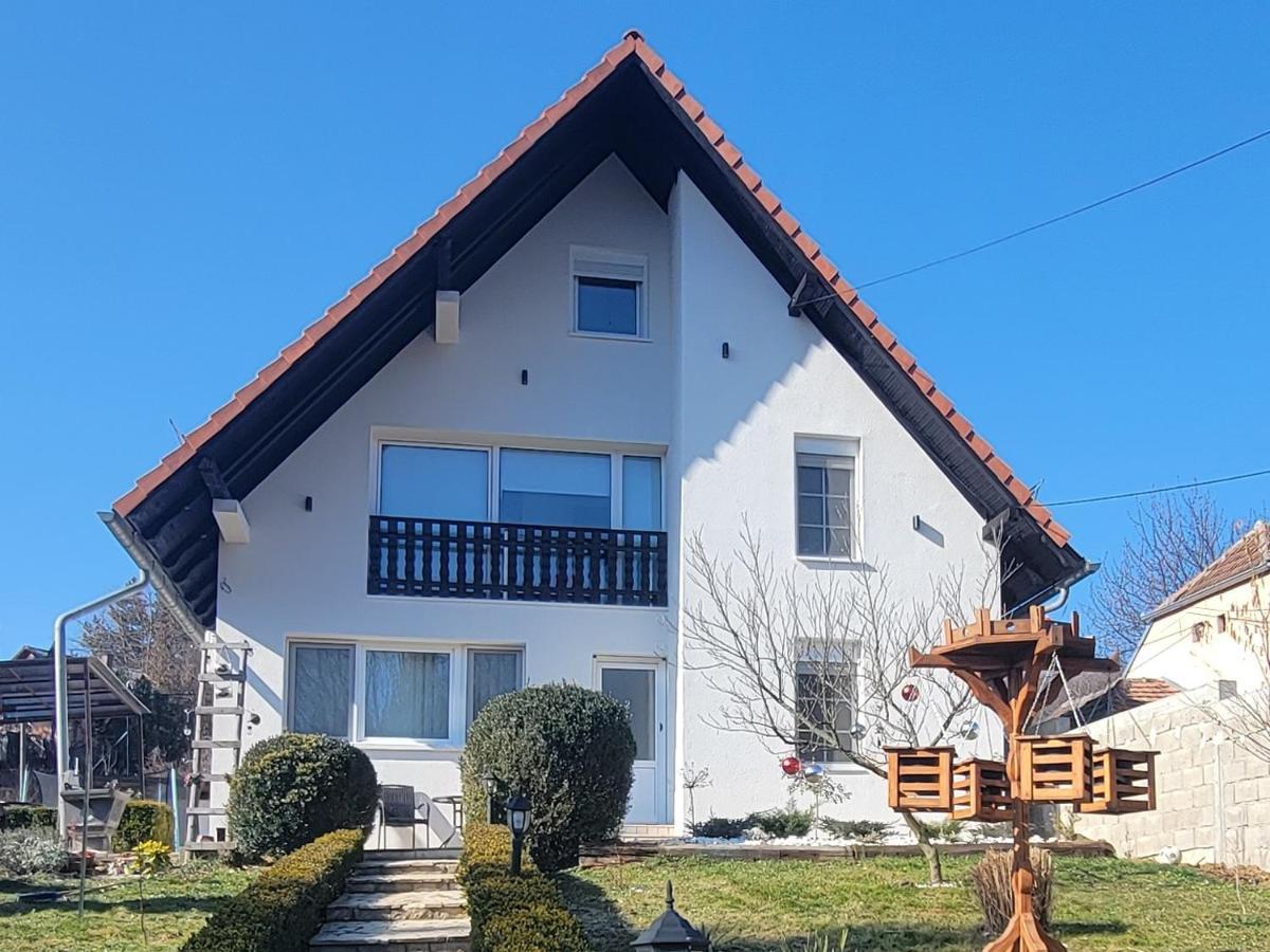 Vila Jovana Vrdnik Ngoại thất bức ảnh