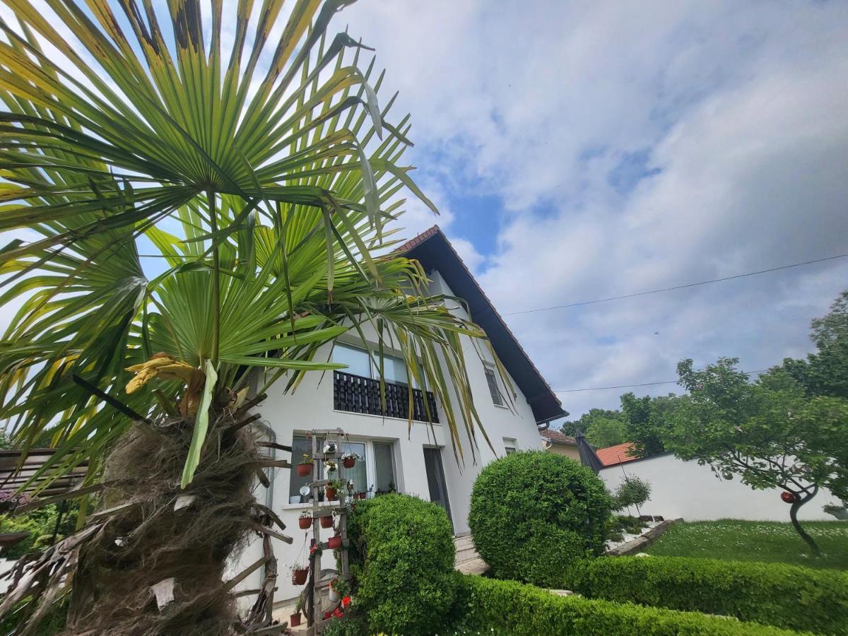 Vila Jovana Vrdnik Ngoại thất bức ảnh