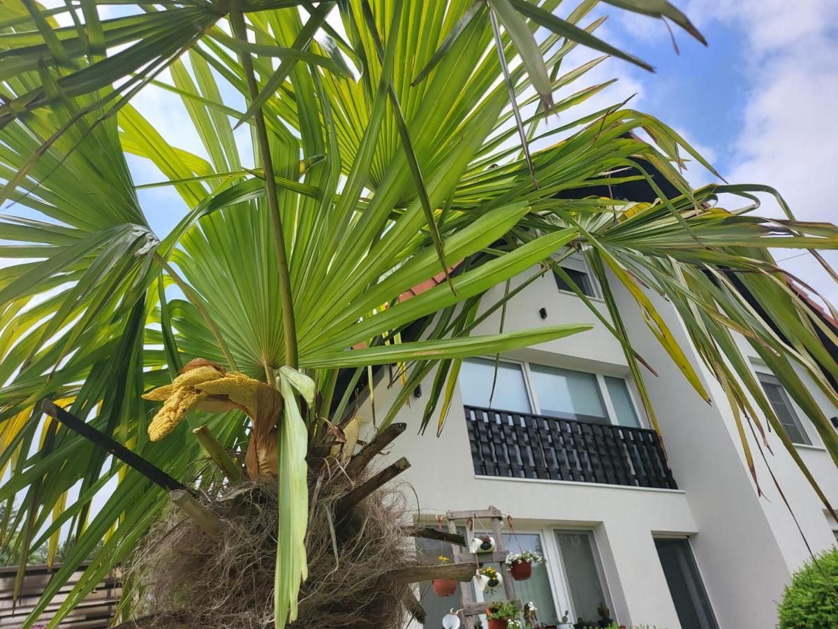 Vila Jovana Vrdnik Ngoại thất bức ảnh