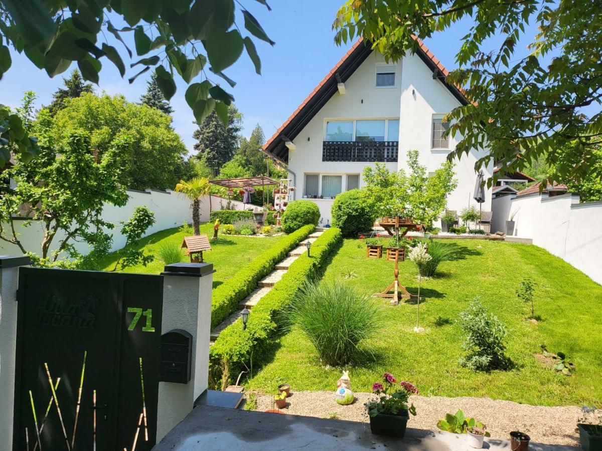 Vila Jovana Vrdnik Ngoại thất bức ảnh