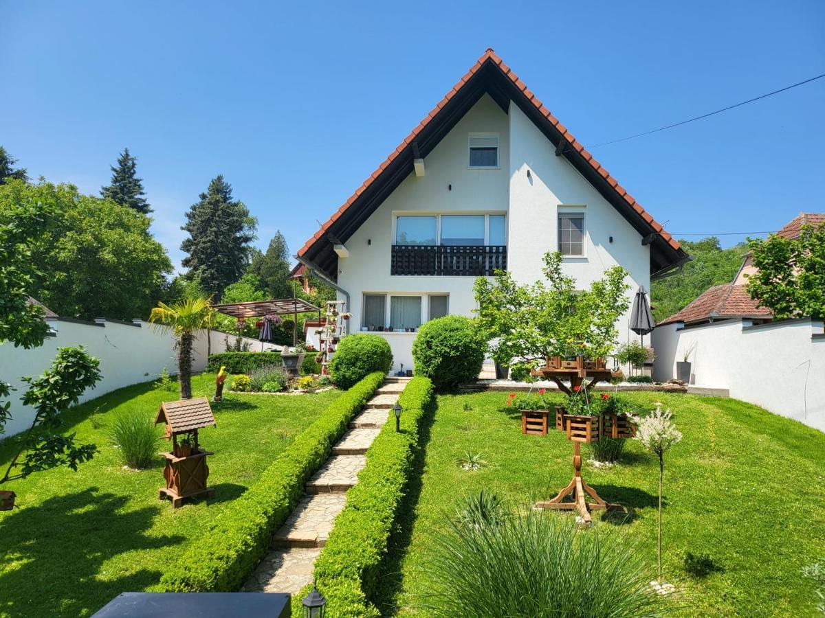 Vila Jovana Vrdnik Ngoại thất bức ảnh