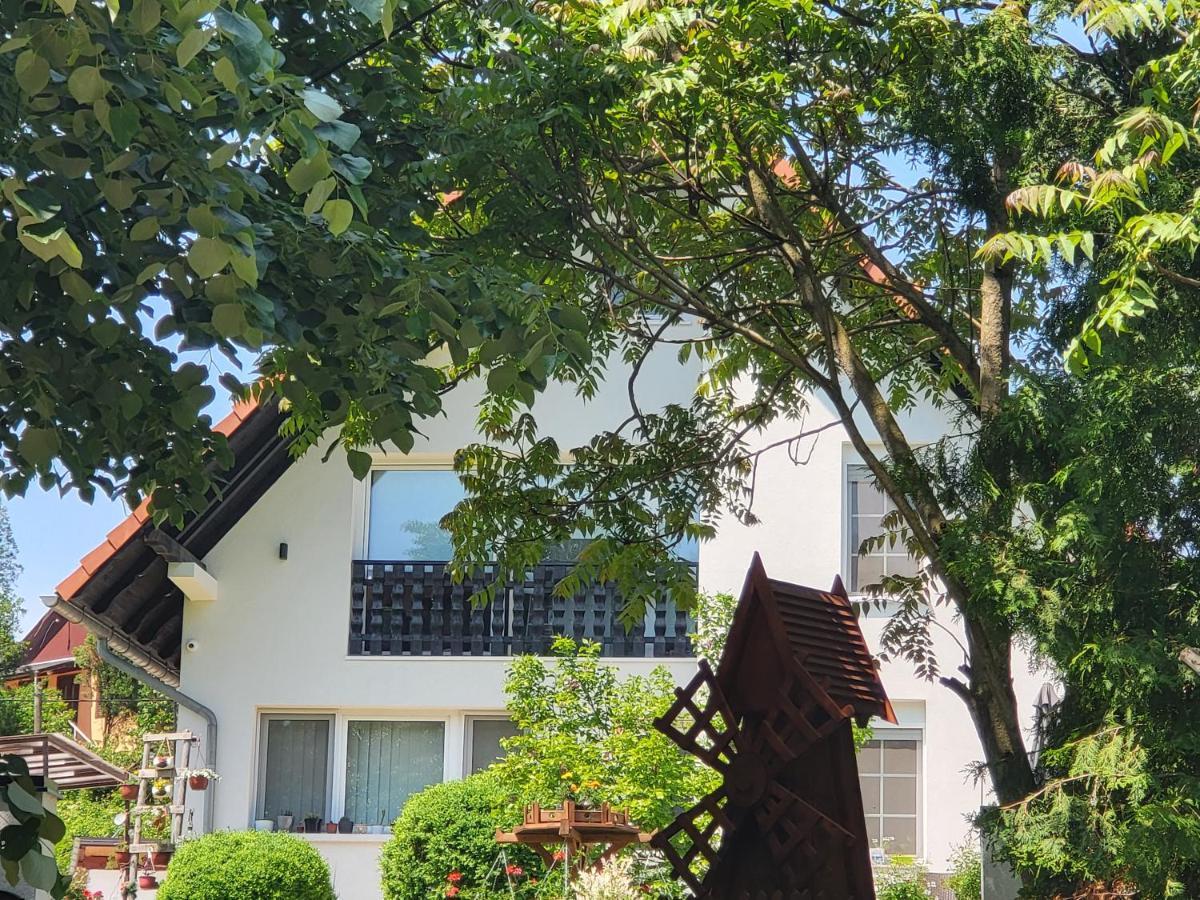 Vila Jovana Vrdnik Ngoại thất bức ảnh