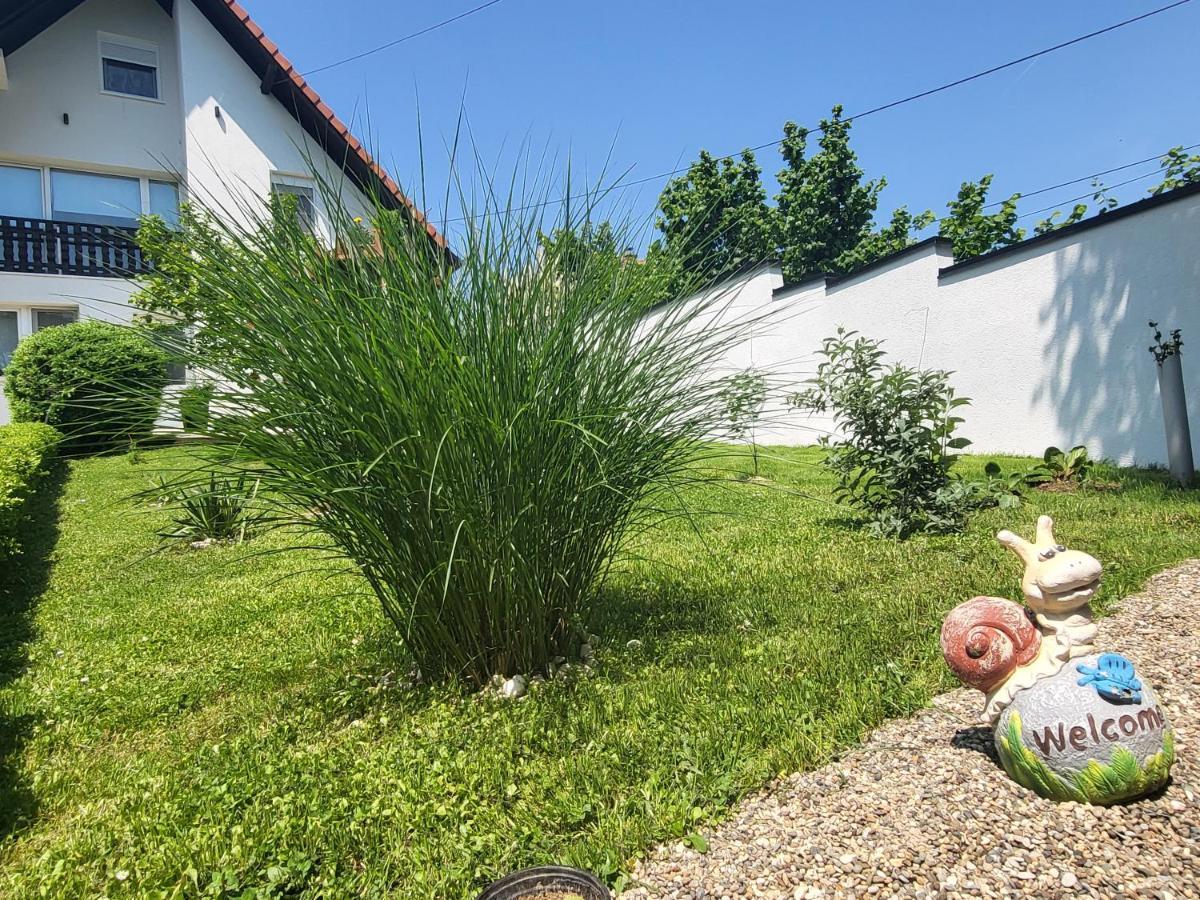 Vila Jovana Vrdnik Ngoại thất bức ảnh