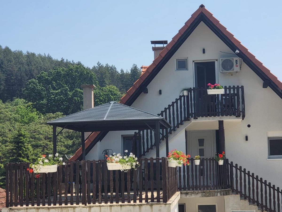 Vila Jovana Vrdnik Ngoại thất bức ảnh