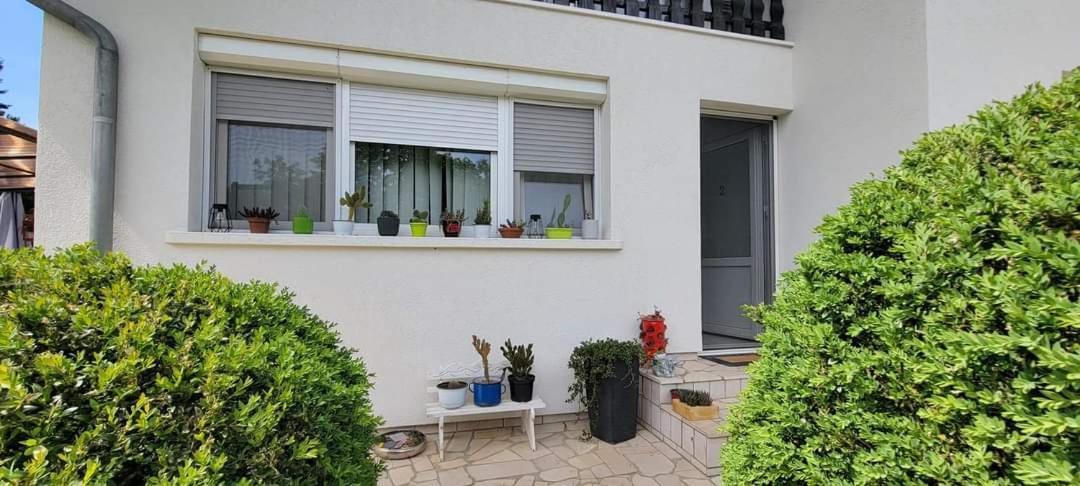 Vila Jovana Vrdnik Ngoại thất bức ảnh