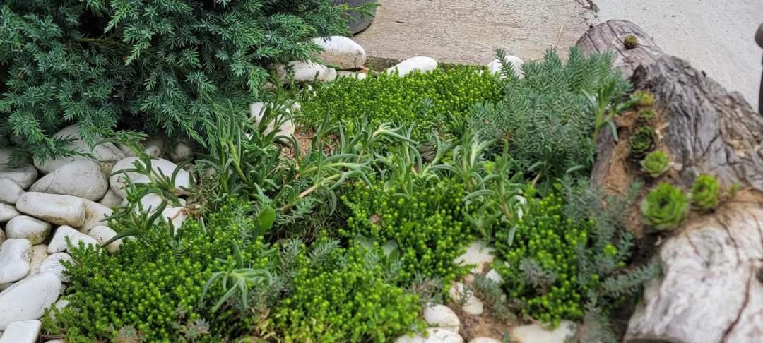 Vila Jovana Vrdnik Ngoại thất bức ảnh