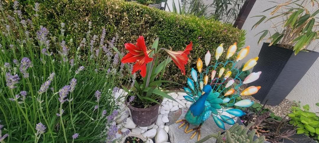Vila Jovana Vrdnik Ngoại thất bức ảnh
