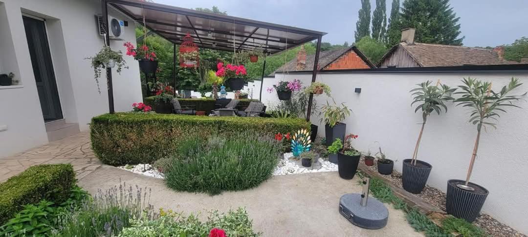 Vila Jovana Vrdnik Ngoại thất bức ảnh